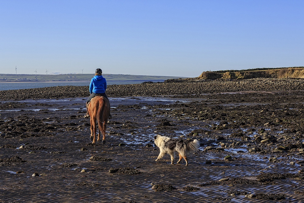 Horse Riding, Querrin